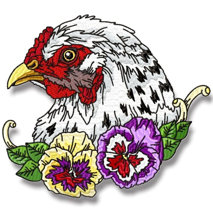 Striking Chickens