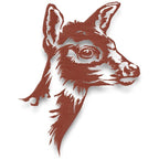 Striking Deer