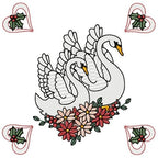Swans For Christmas