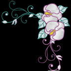 Sweet Flowers