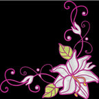 Sweet Flowers