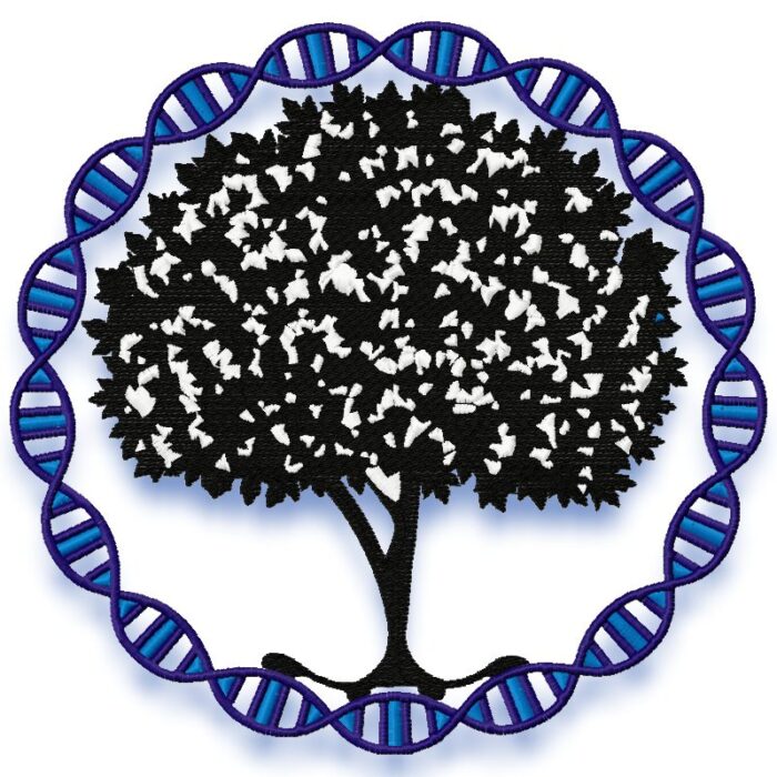 Tree Of Life