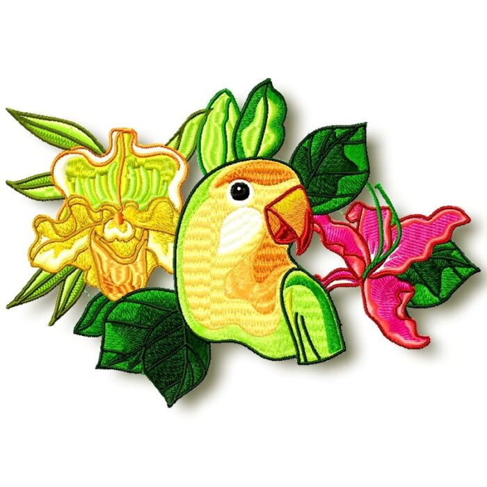Tropical Birds