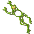 Tropical frogs