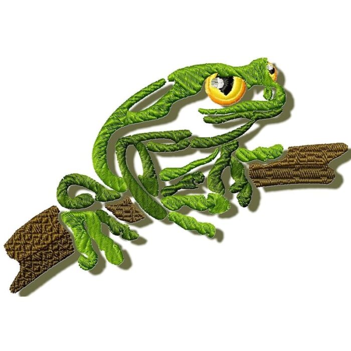 Tropical frogs