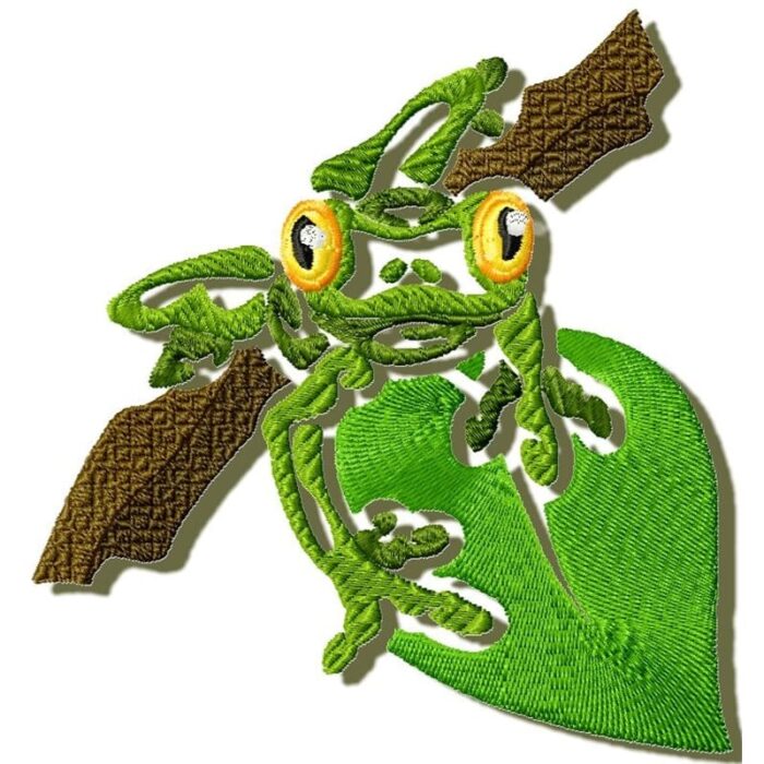 Tropical frogs