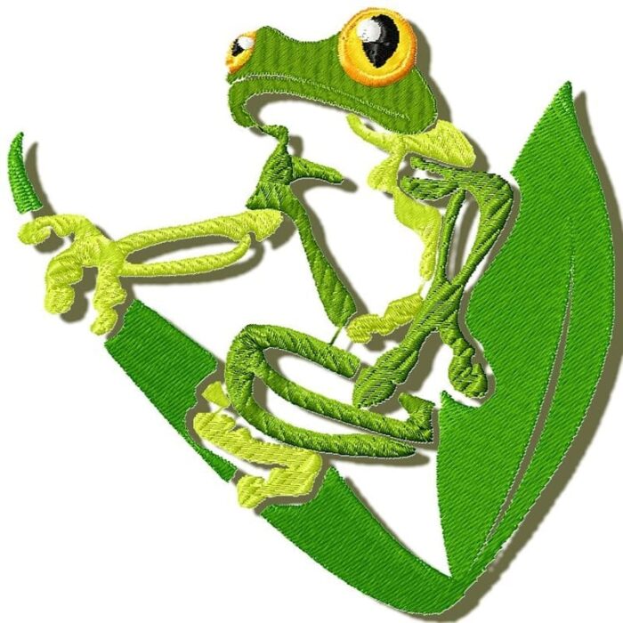 Tropical frogs