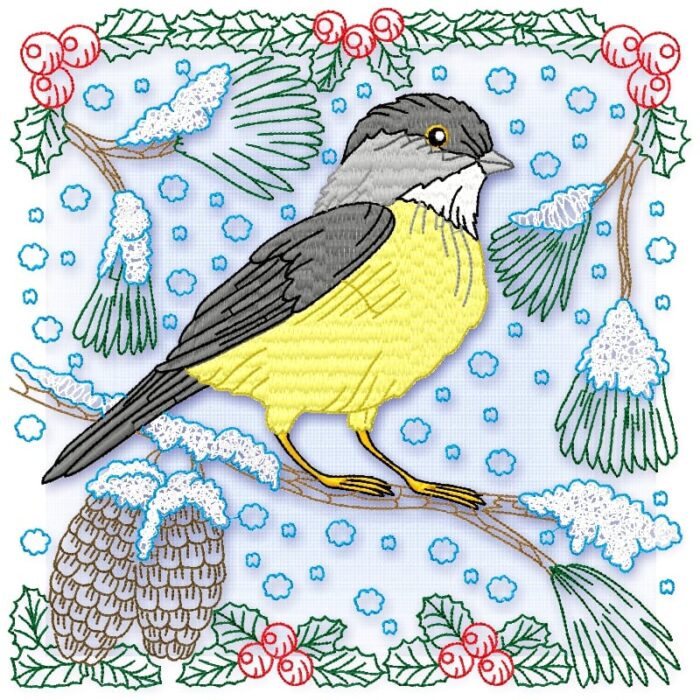 Yellow Belly Tit Bird