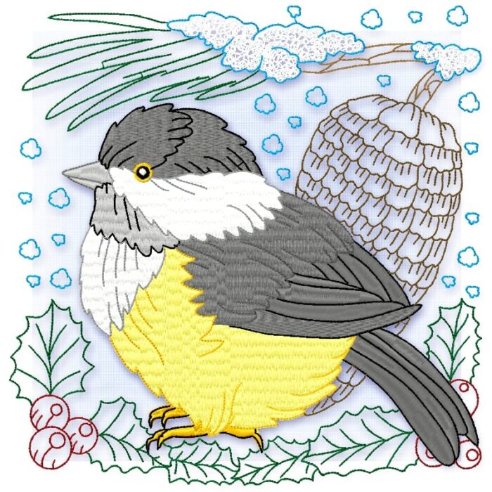 Yellow Belly Tit Bird