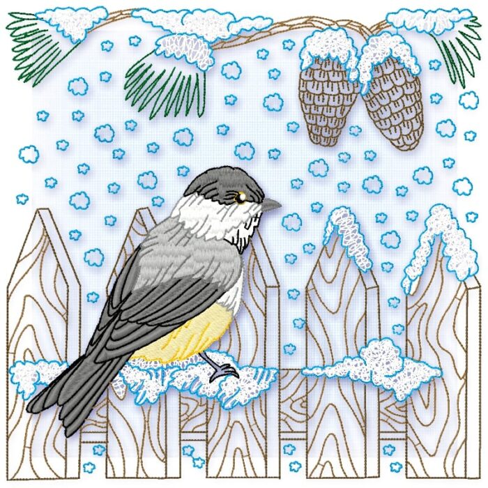 Yellow Belly Tit Bird