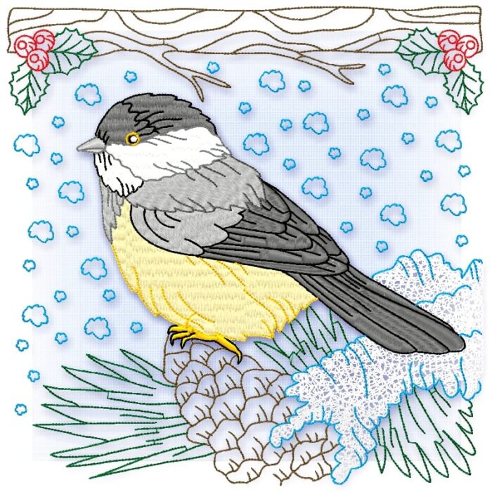 Yellow Belly Tit Bird