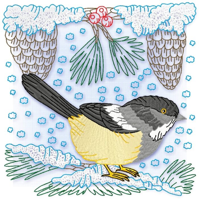 Yellow Belly Tit Bird