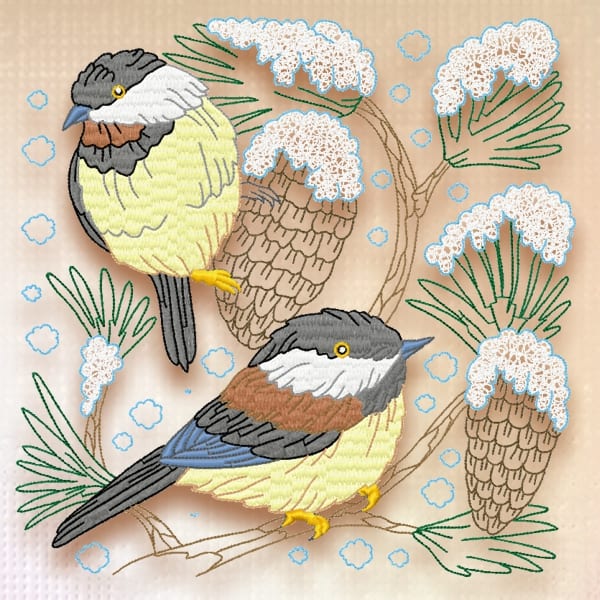 Yellow Belly Tit Bird