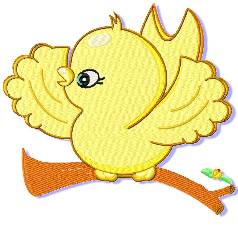 Adorable Baby Chick