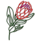 Wildflowers