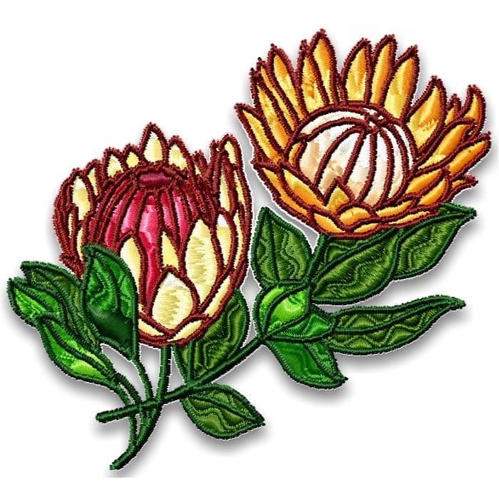 Wildflowers