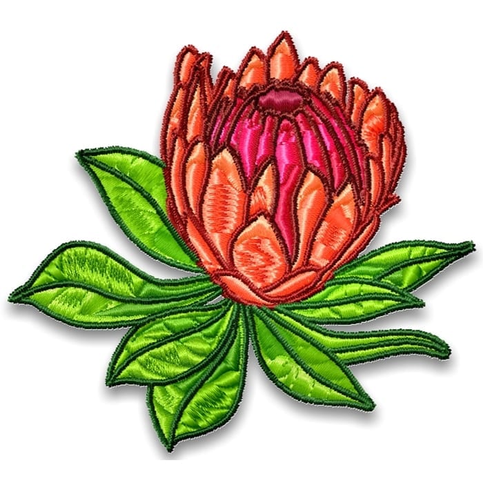 Wildflowers