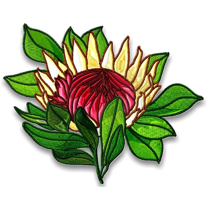 Wildflowers