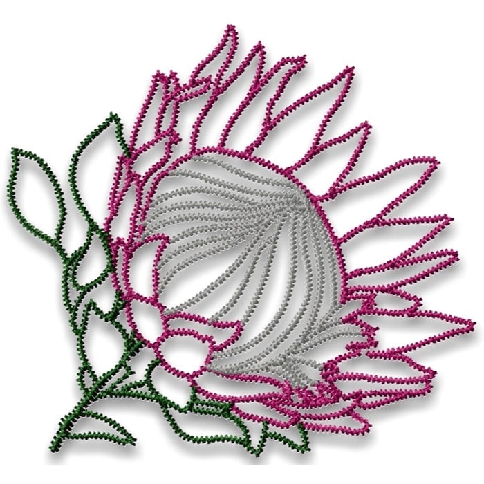 Wildflowers
