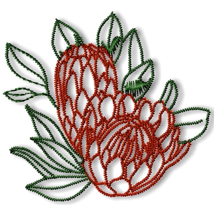 Wildflowers