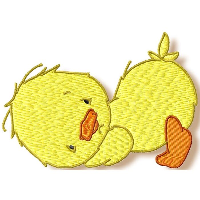 Baby Birdie