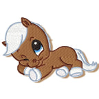 Cute Baby Horses