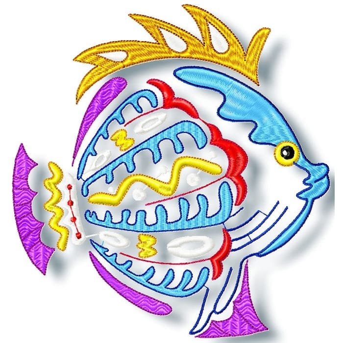 colorful ocean fish