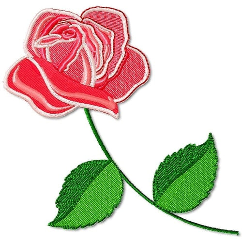 Beautiful Roses