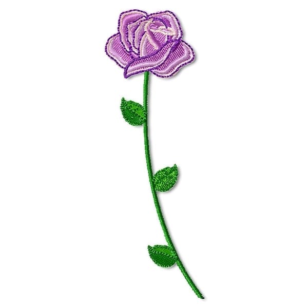 Beautiful Roses