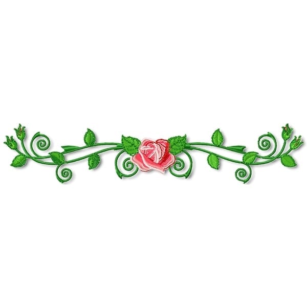 Beautiful Roses