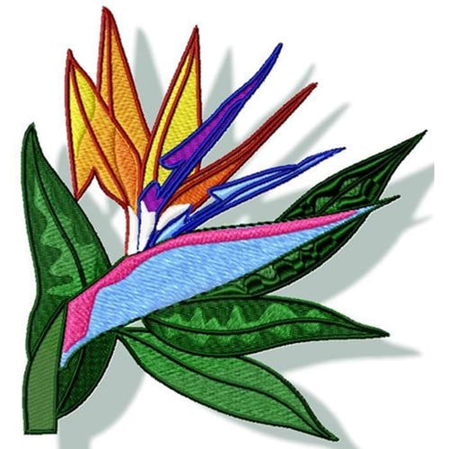 Bird Of Paradise Flowers