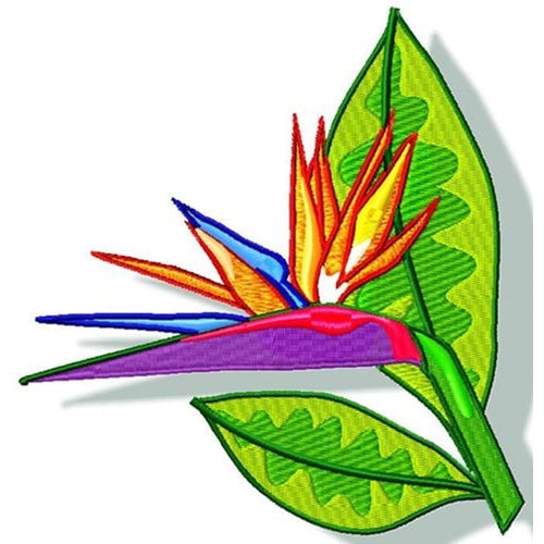 Bird Of Paradise Flowers