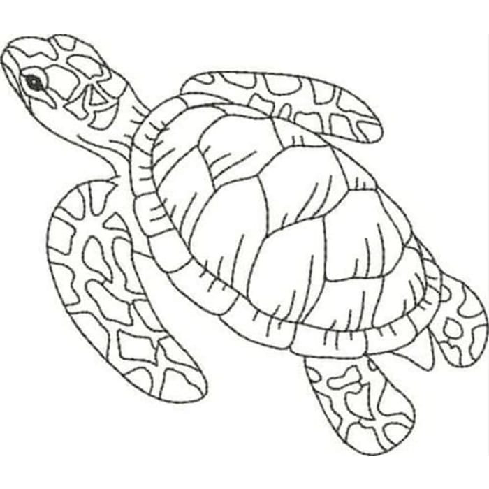 Blackwork Turtles