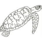 Blackwork Turtles