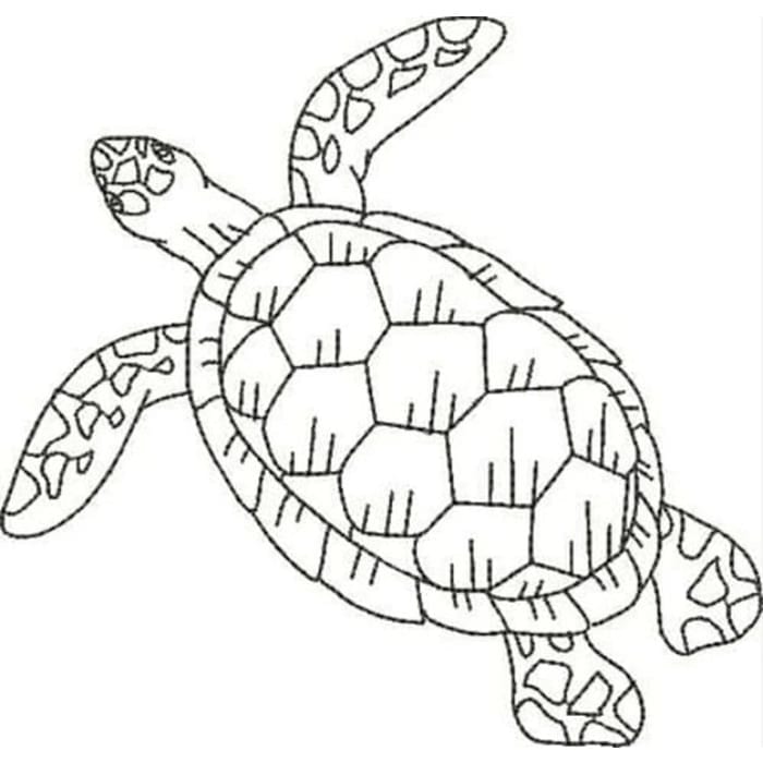 Blackwork Turtles