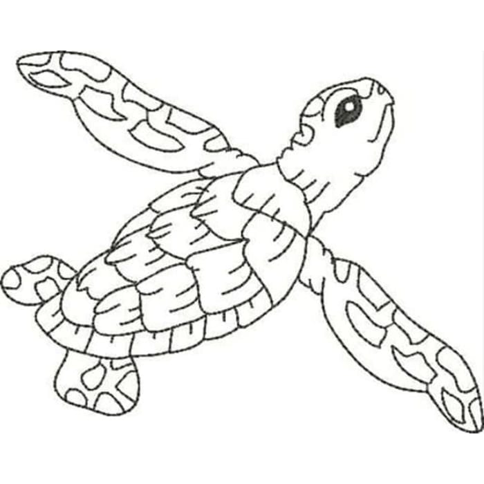 Blackwork Turtles