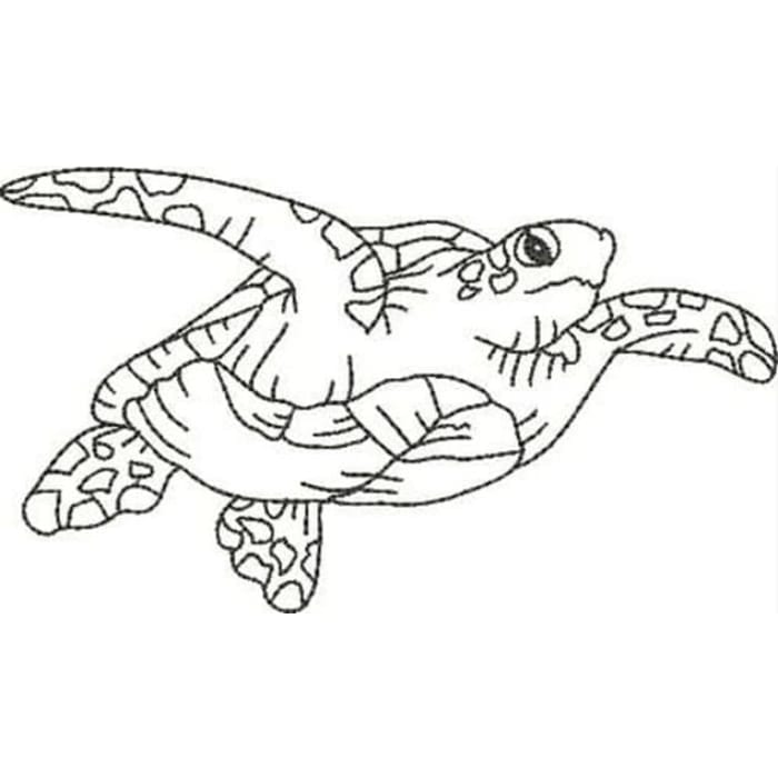 Blackwork Turtles