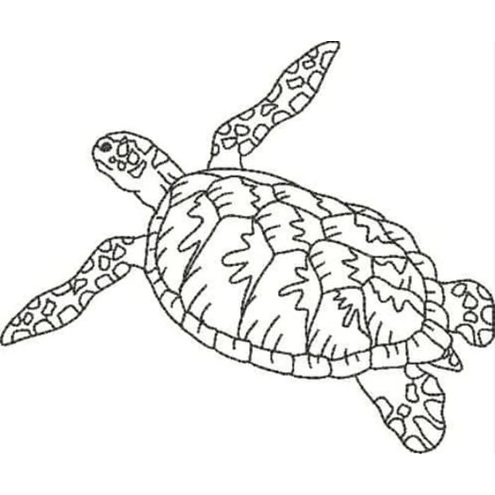 Blackwork Turtles