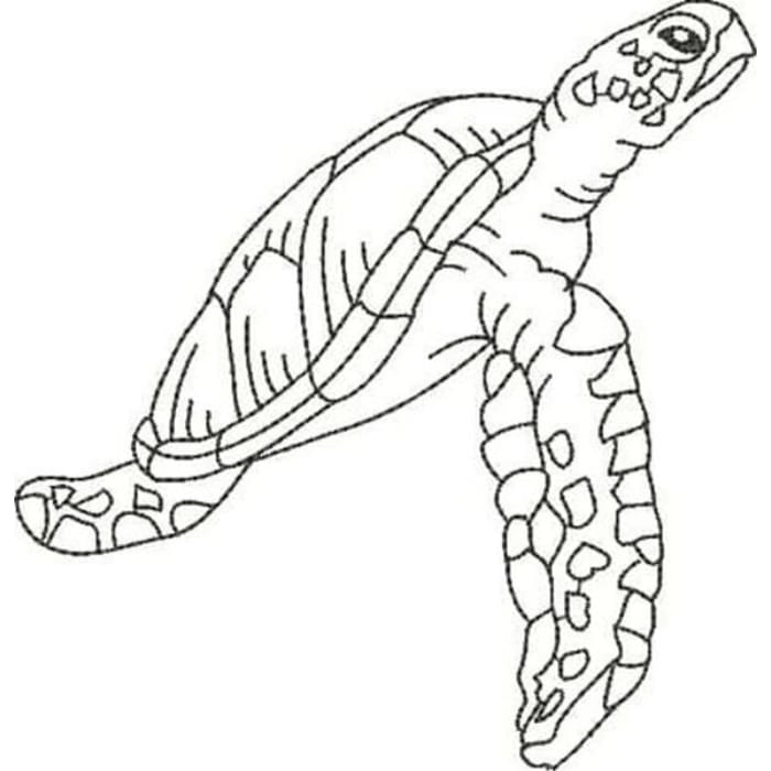 Blackwork Turtles