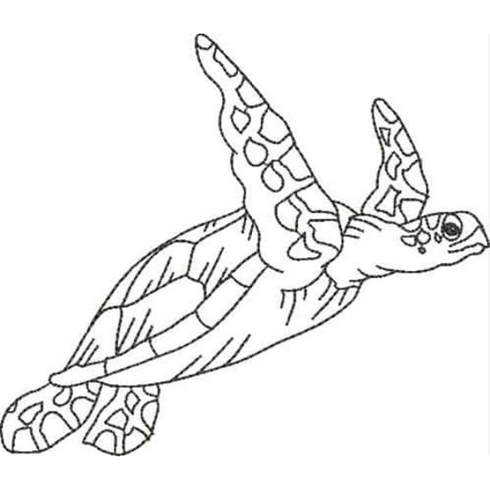 Blackwork Turtles