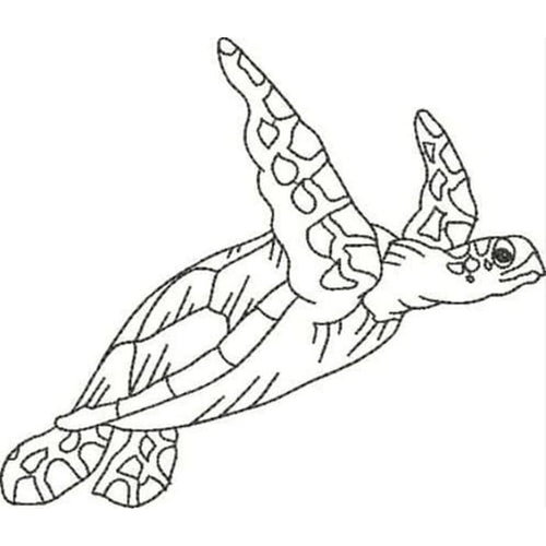 Blackwork Turtles