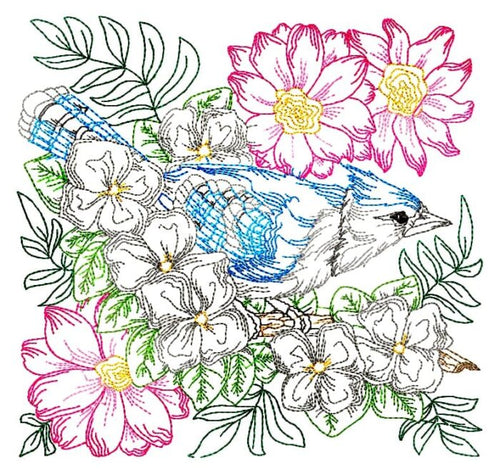 blue jay blocks