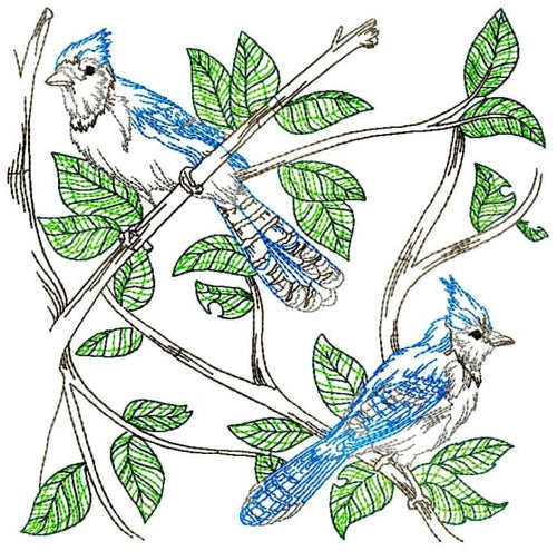 Blue Jay Blocks