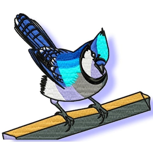 Blue Jay