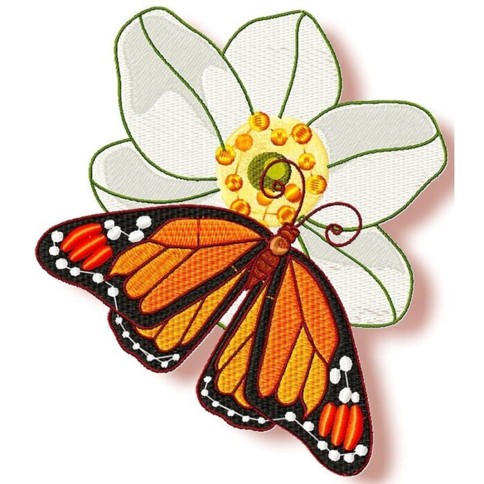 Butterfly On A Flower
