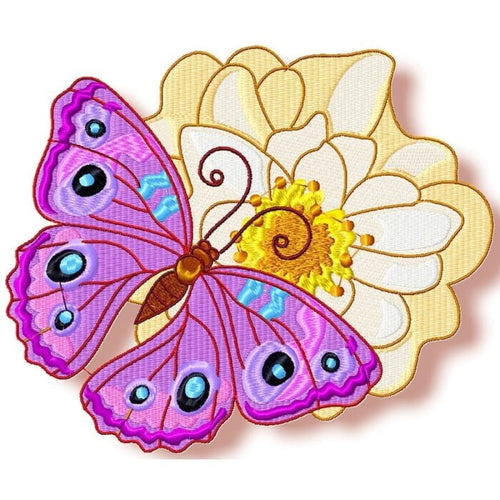 Butterfly On A Flower