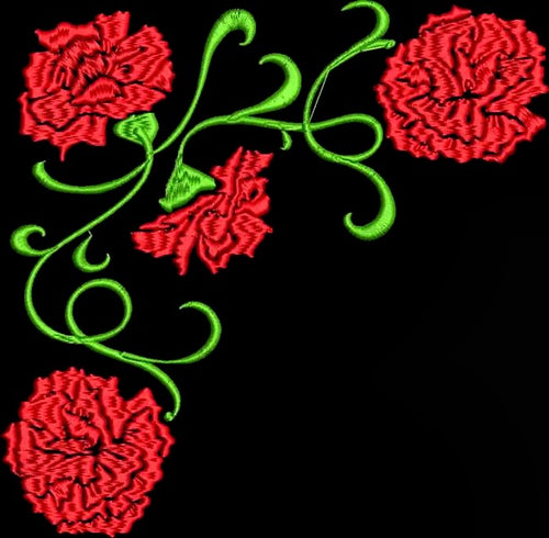 Carnation