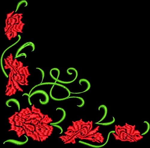 carnation