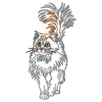 Cats Outline