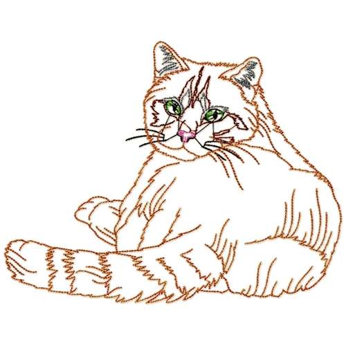 Cats Outline